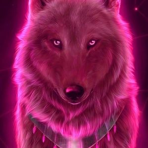 Meet your Posher, Anne